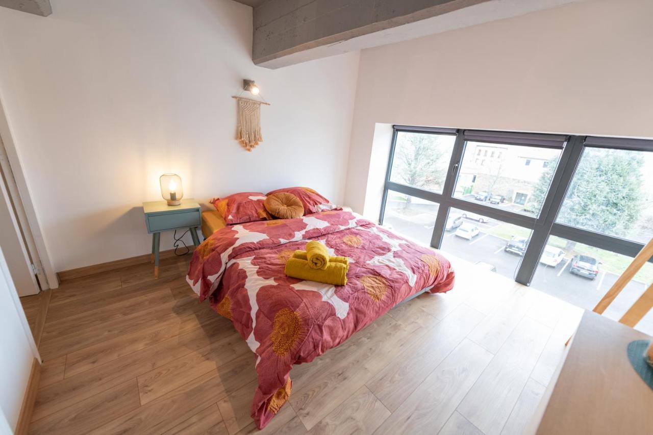 Welcome Loft Saint-Etienne  Kültér fotó