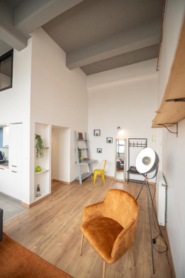 Welcome Loft Saint-Etienne  Kültér fotó